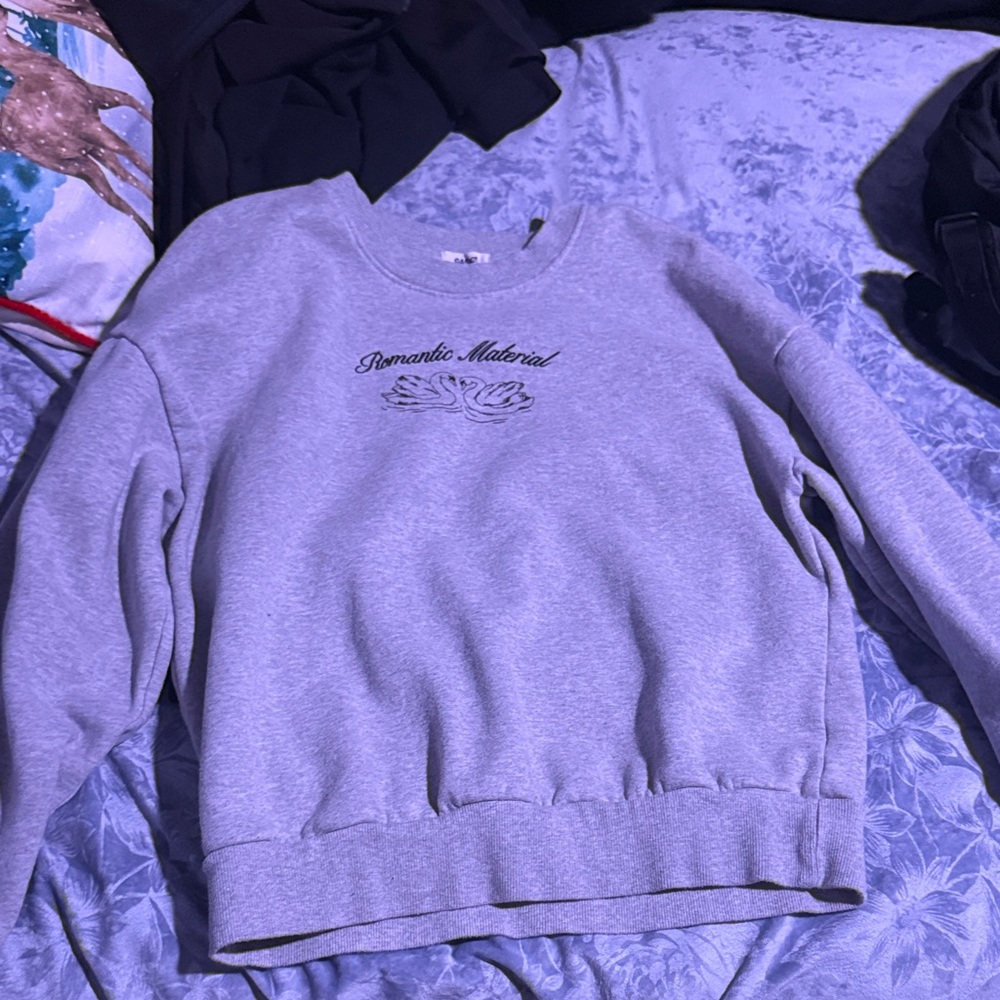 Gray Sweatshirt with Embroidered Text
